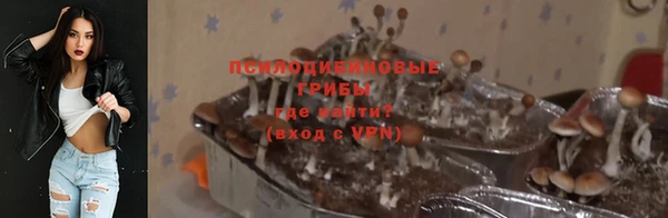 ALPHA PVP Гусь-Хрустальный
