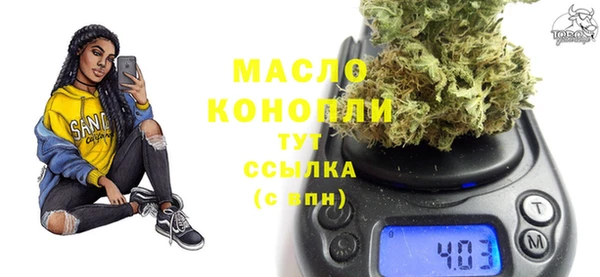 индика Михайловка