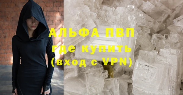 бошки Гусев