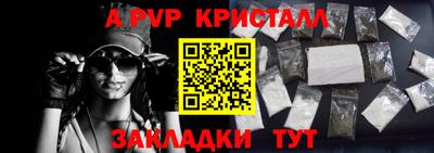 PSILOCYBIN Гатчина