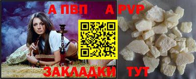 PSILOCYBIN Гатчина