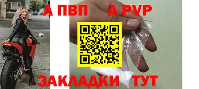 PSILOCYBIN Гатчина