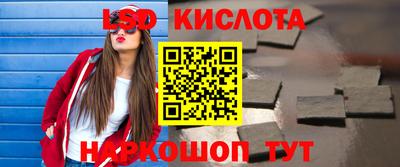PSILOCYBIN Гатчина