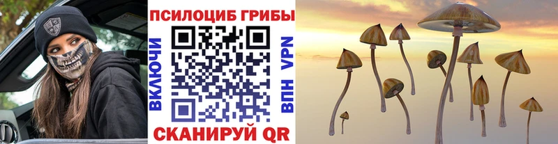 Галлюциногенные грибы ЛСД  Можайск 