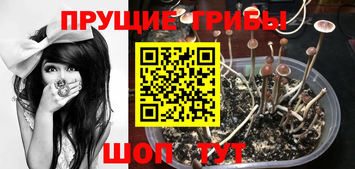 Можайск  Псилоцибиновые грибы мухоморы  Вход с VPN 