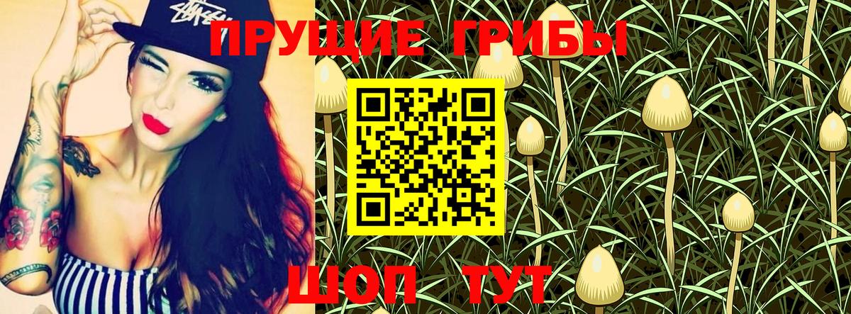 Псилоцибиновые грибы Cubensis  Можайск 